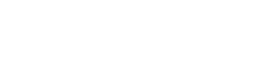 SanData Logo